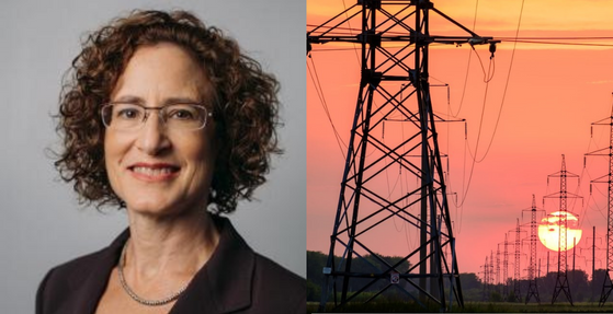 Dr. Julie Cohn on the Power Grid