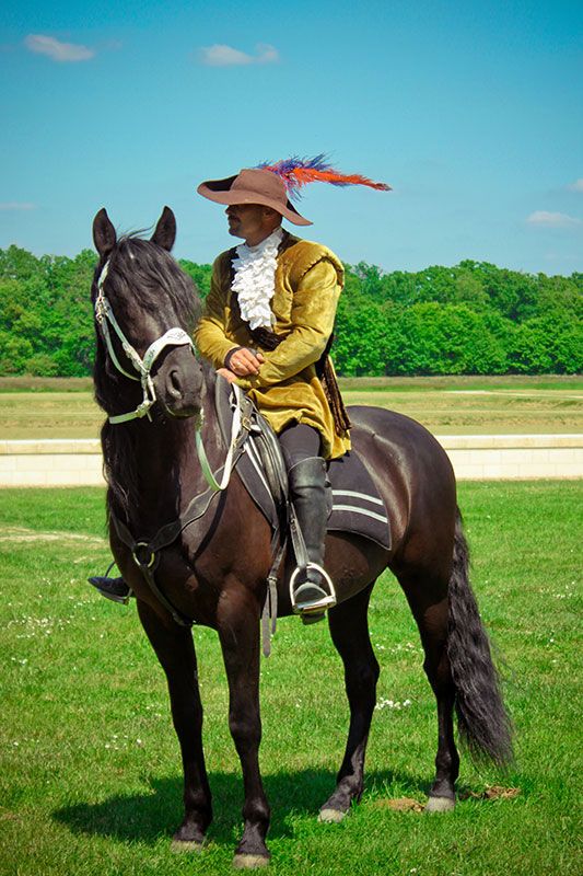 Anonymous French Knight