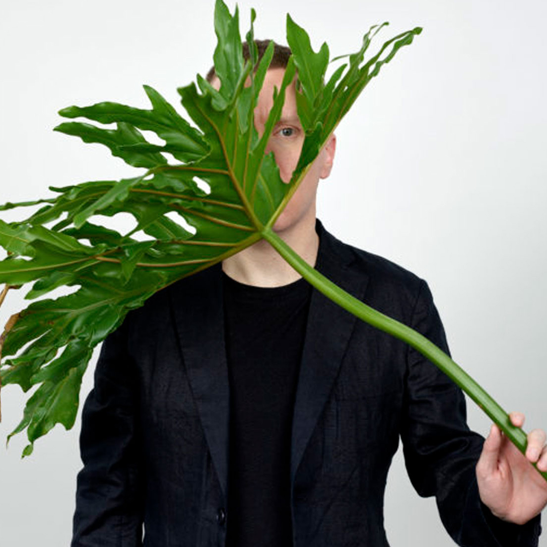 a man stands behind a large tropical green leaf, which he is holding in front of his face. He is wearing all black and his features and age are hard to make out due to the obstruction of the leave. Brown hair and blue eyes are visible behind the leaf but no facial expression can be seen. 