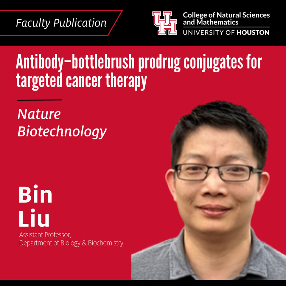Antibody-bottlebrush prodrug conjugates for targeted cancer therapy
